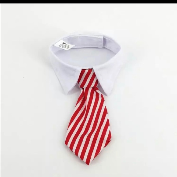 Cat:dog tie collars - Picture 5 of 15